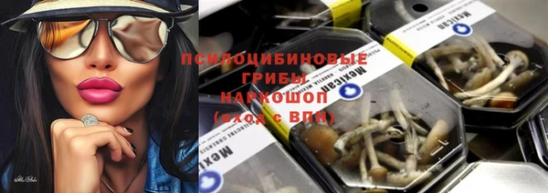 ПСИЛОЦИБИНОВЫЕ ГРИБЫ Вязьма