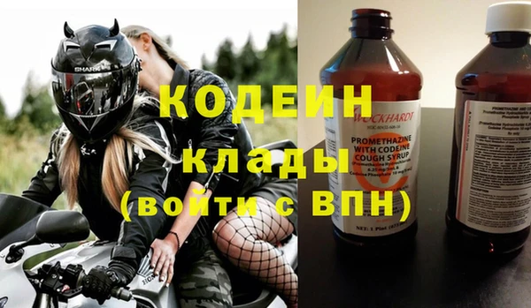 амф Вяземский