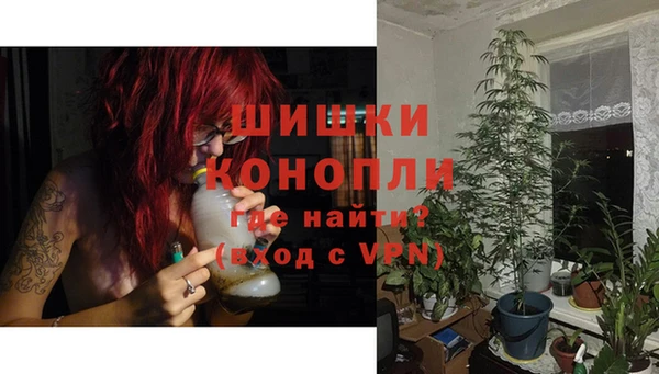 ПСИЛОЦИБИНОВЫЕ ГРИБЫ Вязьма