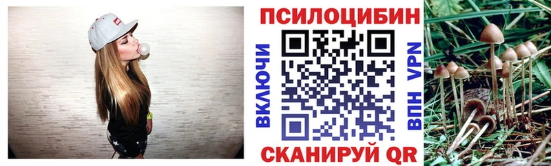 Галлюциногенные грибы прущие грибы Северодвинск